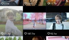 深夜爆料 美嘉被敲诈视频,真相背后引人深思