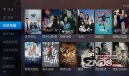 电视直播高清在线观看,电视直播在线观看新体验